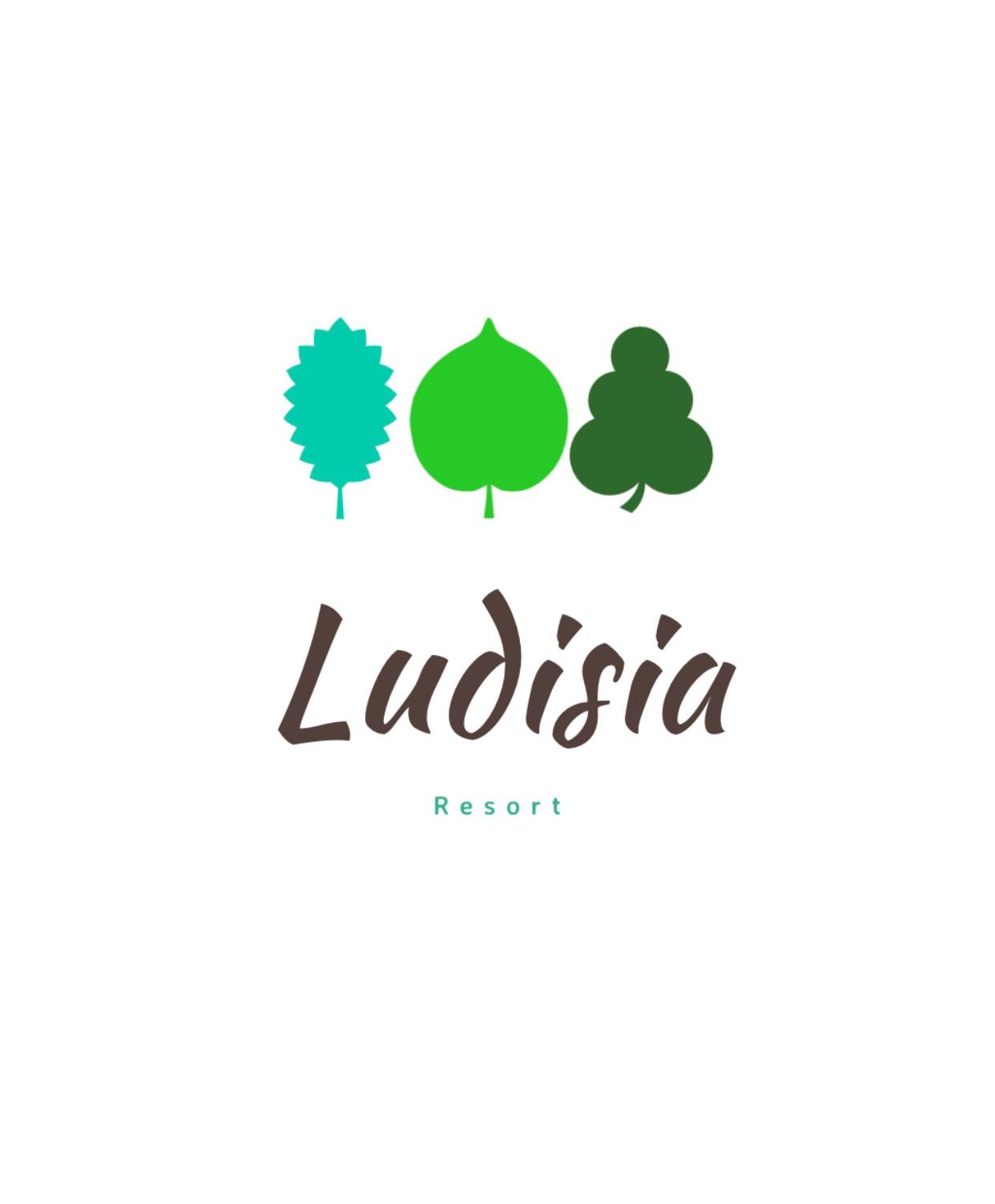 ludisia